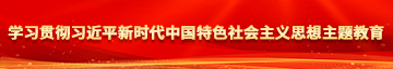 粉嫩射b学习贯彻习近平新时代中国特色社会主义思想主题教育